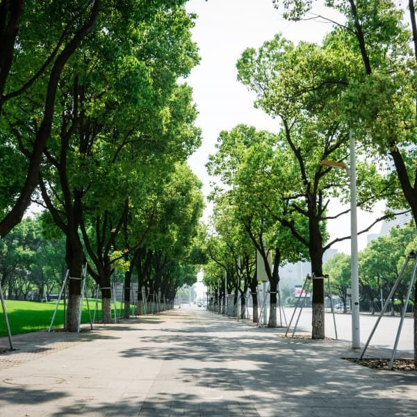 Dịch vụ Thi công