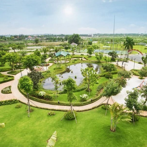 Lợi Ích Và Bí Quyết Chăm Sóc Cây Xanh Tại Nhà Và Văn Phòng