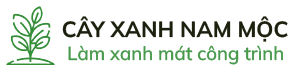 Công ty TNHH MTV Cây xanh Nam Mộc
