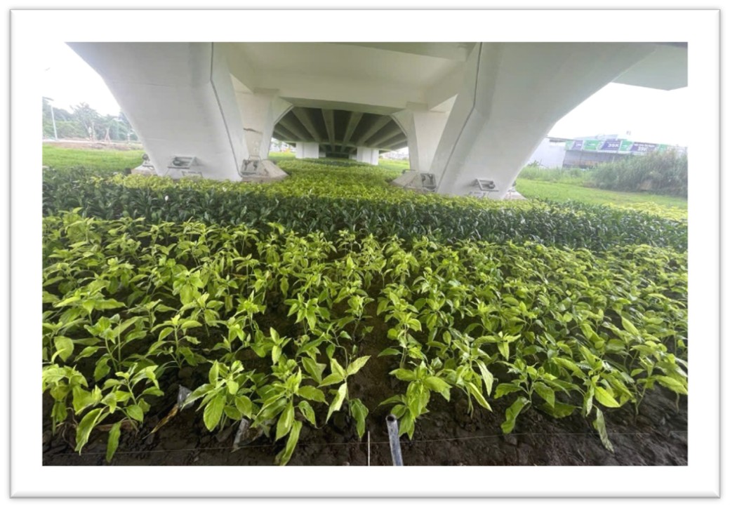 5+ Năm

kinh nghiệm
